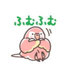 アキクサインコLINEスタンプ（個別スタンプ：4）