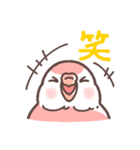 アキクサインコLINEスタンプ（個別スタンプ：8）