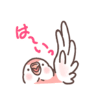 アキクサインコLINEスタンプ（個別スタンプ：9）