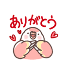 アキクサインコLINEスタンプ（個別スタンプ：10）