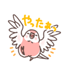 アキクサインコLINEスタンプ（個別スタンプ：11）