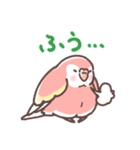 アキクサインコLINEスタンプ（個別スタンプ：12）