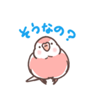 アキクサインコLINEスタンプ（個別スタンプ：15）