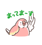 アキクサインコLINEスタンプ（個別スタンプ：18）