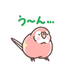 アキクサインコLINEスタンプ（個別スタンプ：21）