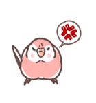 アキクサインコLINEスタンプ（個別スタンプ：22）