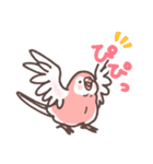 アキクサインコLINEスタンプ（個別スタンプ：24）