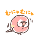 アキクサインコLINEスタンプ（個別スタンプ：25）