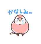 アキクサインコLINEスタンプ（個別スタンプ：26）