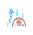 アキクサインコLINEスタンプ（個別スタンプ：33）