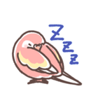 アキクサインコLINEスタンプ（個別スタンプ：35）