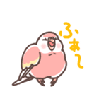 アキクサインコLINEスタンプ（個別スタンプ：36）