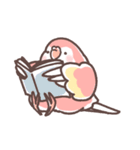 アキクサインコLINEスタンプ（個別スタンプ：38）