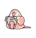 アキクサインコLINEスタンプ（個別スタンプ：39）