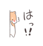 ほわほわいぬさん・ちら（個別スタンプ：31）