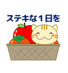 敬語❤大人の優しい気遣い 猫好きさんへ 秋（個別スタンプ：2）