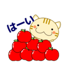 敬語❤大人の優しい気遣い 猫好きさんへ 秋（個別スタンプ：14）