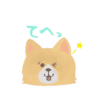 かわいいイヌ！毎日使える♪（個別スタンプ：8）