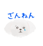 かわいいイヌ！毎日使える♪（個別スタンプ：11）