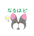 かわいいイヌ！毎日使える♪（個別スタンプ：13）