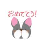 かわいいイヌ！毎日使える♪（個別スタンプ：15）