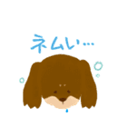 かわいいイヌ！毎日使える♪（個別スタンプ：23）