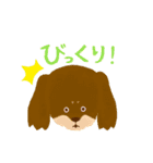 かわいいイヌ！毎日使える♪（個別スタンプ：24）