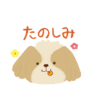 かわいいイヌ！毎日使える♪（個別スタンプ：26）