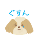 かわいいイヌ！毎日使える♪（個別スタンプ：28）