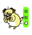 what the pug 2.ハッピーズー！（個別スタンプ：1）