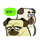 what the pug 2.ハッピーズー！（個別スタンプ：23）