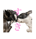 ボステリ姉妹（個別スタンプ：9）