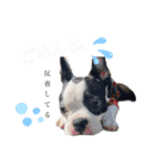 ボステリ姉妹（個別スタンプ：11）