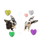 ボステリ姉妹（個別スタンプ：13）