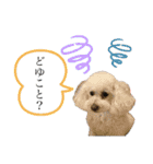ボステリ姉妹（個別スタンプ：15）