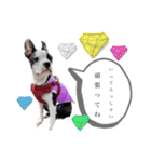 ボステリ姉妹（個別スタンプ：18）