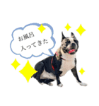 ボステリ姉妹（個別スタンプ：22）