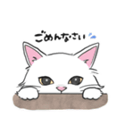 猫と犬とこっそりうさぎ。（個別スタンプ：31）