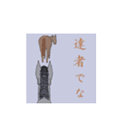 uma's 物語 当歳編 うま 競走馬 牧場（個別スタンプ：14）