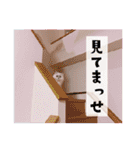 とろのニャンニャン！毎日スタンプ（個別スタンプ：19）