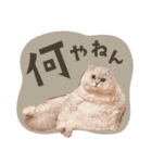 とろのニャンニャン！毎日スタンプ（個別スタンプ：23）
