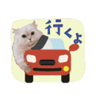 とろのニャンニャン！毎日スタンプ（個別スタンプ：26）