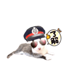 ミニうさぎのダッチ④仮装（個別スタンプ：1）