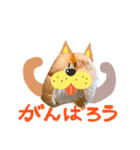 シュークリーム柴犬（個別スタンプ：3）