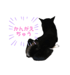 黒柴ふく2（個別スタンプ：15）