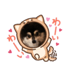 ポメラニアンのあずきくん（個別スタンプ：9）