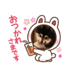 ポメラニアンのあずきくん（個別スタンプ：15）