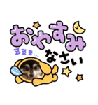 ポメラニアンのあずきくん（個別スタンプ：17）