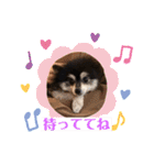 ポメラニアンのあずきくん（個別スタンプ：18）