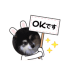 ポメラニアンのあずきくん（個別スタンプ：24）